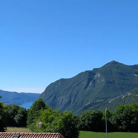Bosco Di