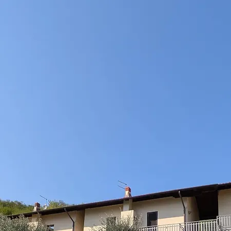 Bosco Di *